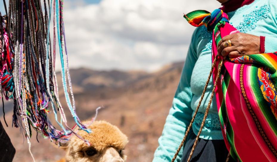 lhama and local in bring colored attire