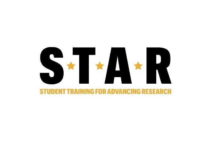 STAR award logo