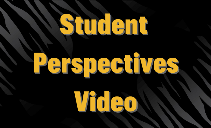 Student Perspective